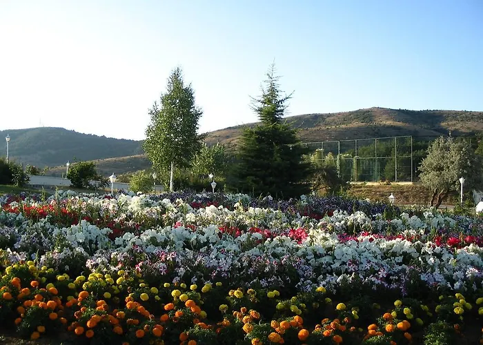 Galata Camlik Hotel Yozgat