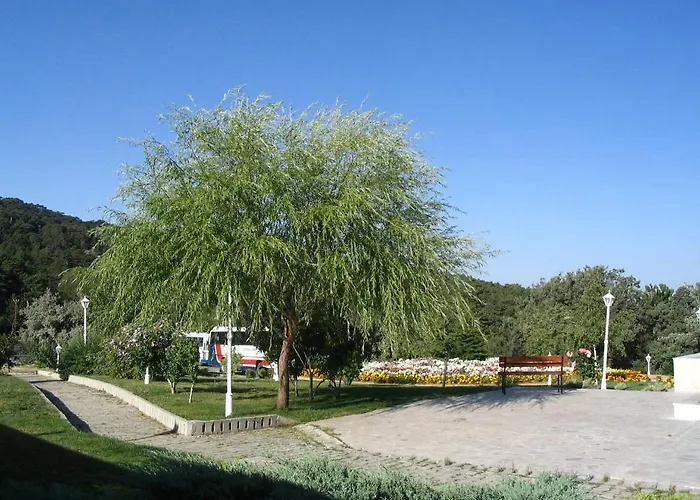 Galata Camlik 3* Yozgat