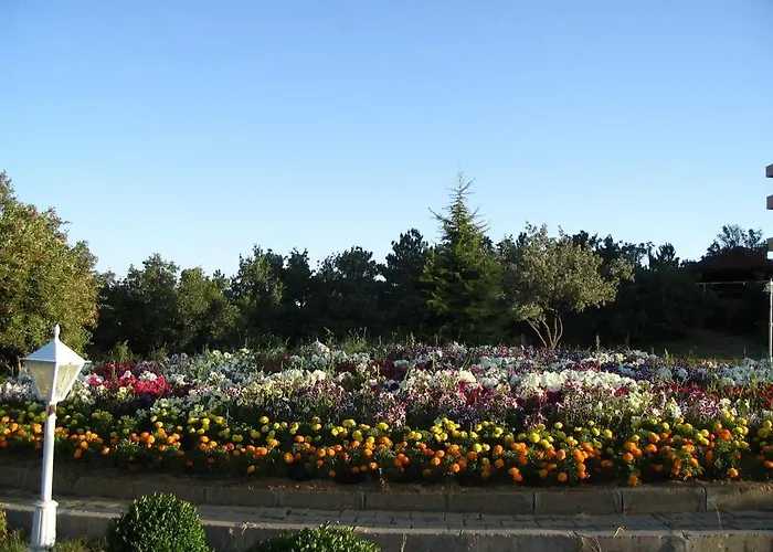 Hotel Galata Camlik Yozgat